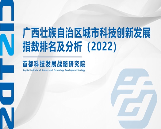 性爱视频舔【成果发布】广西壮族自治区城市科技创新发展指数排名及分析（2022）